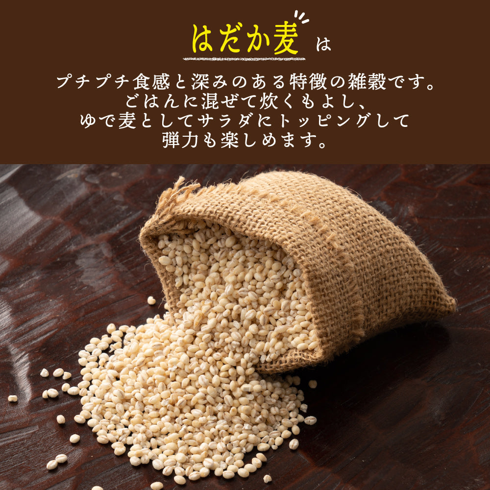 国産 はだか麦 2.7kg(450g×6袋) – 【公式】雑穀米本舗 - 公式