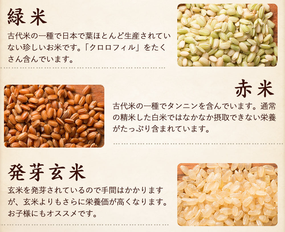 【公式サイトが最安値】雑穀 雑穀米 国産 栄養満点23穀米 400g