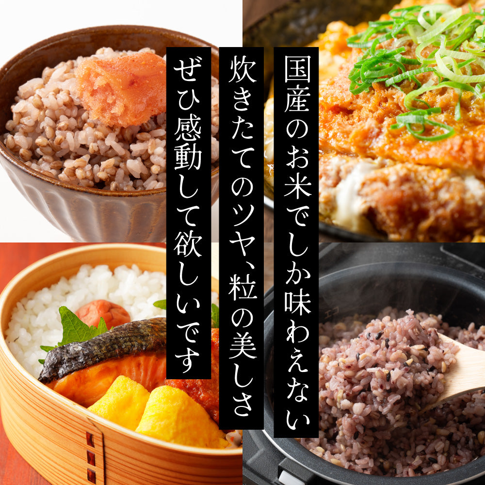 【白米】 令和7年産 青森県産 まっしぐら 30kg(10kg×3袋) 単一原料米 白米 精米 精白米 送料無料 精米工場からの直送品