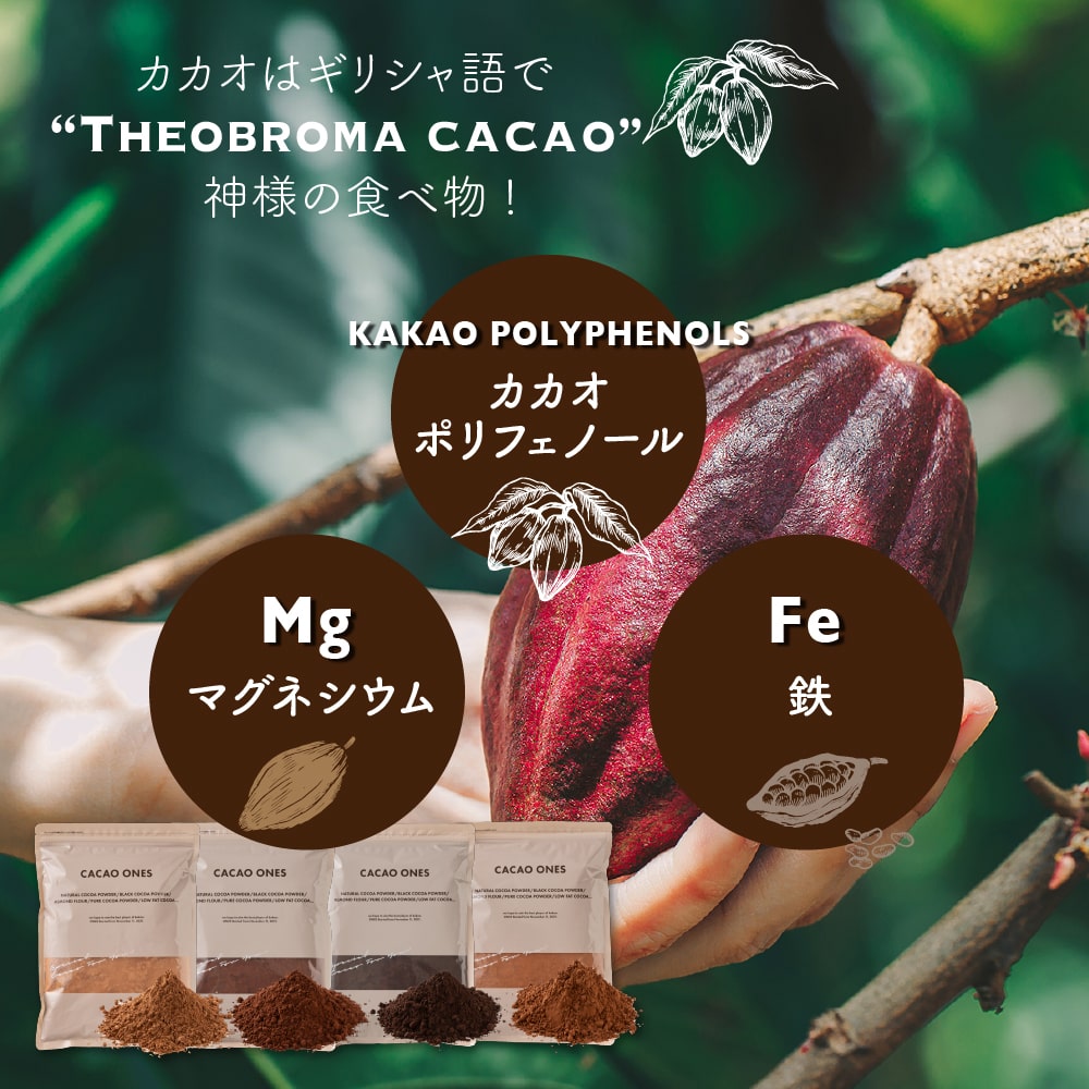 アウトレット 大特価 ブラックココアパウダー 【内容量が選べる500g～5kg】 送料無料 ココア 砂糖不使用 無添加 香料不使用 カカオ お菓子づくり 製菓 製パン