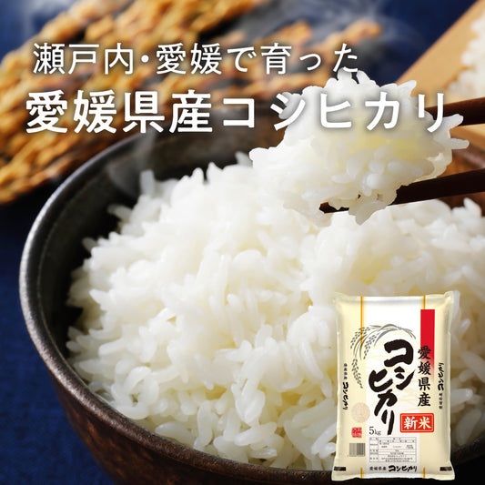 令和8年産 新米 愛媛県産 コシヒカリ【内容量が選べる5kg～30kg】雑穀米本舗 愛媛県 選べる 白米 単一原料米 送料無料 精米工場からの直送品