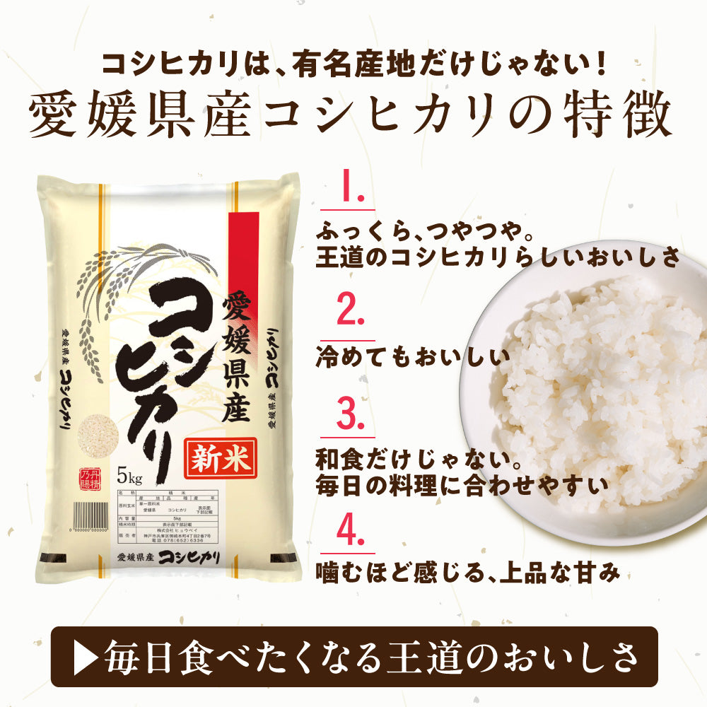 令和8年産 新米 愛媛県産 コシヒカリ【内容量が選べる5kg～30kg】雑穀米本舗 愛媛県 選べる 白米 単一原料米 送料無料 精米工場からの直送品