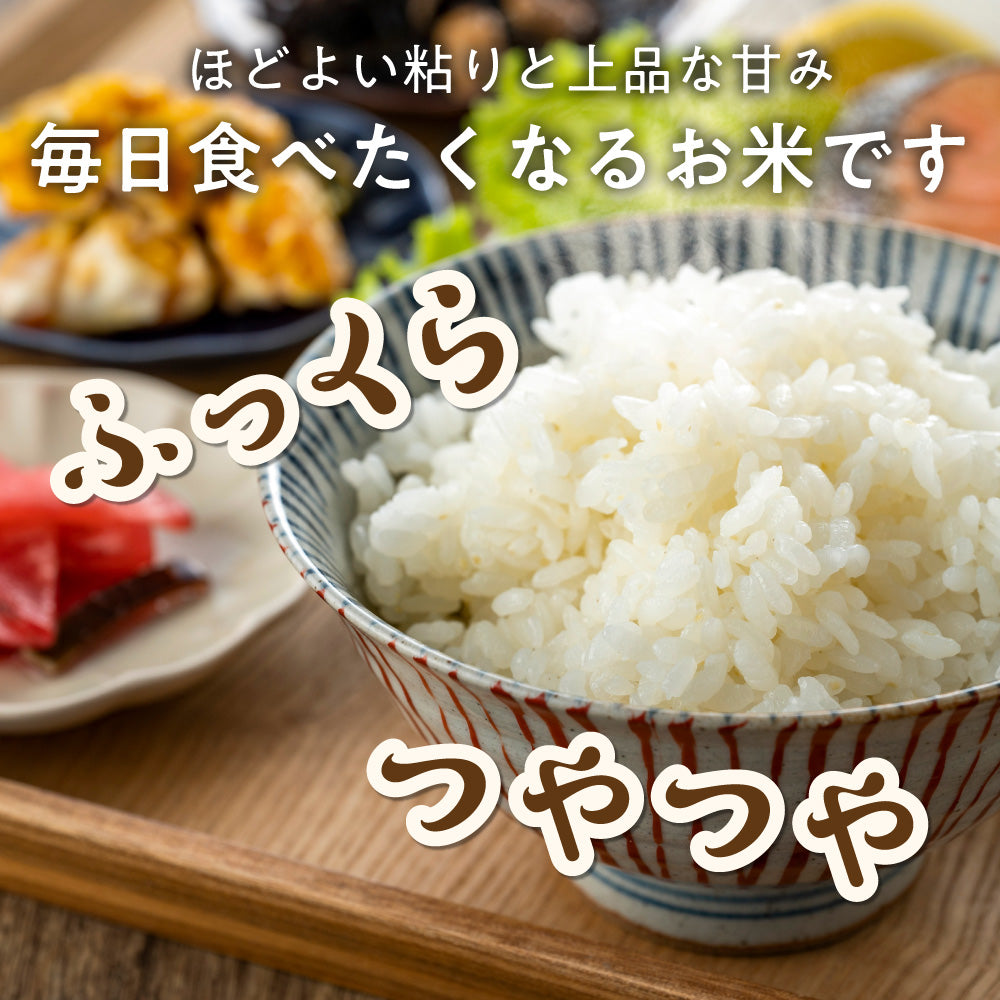 令和8年産 新米 愛媛県産 コシヒカリ【内容量が選べる5kg～30kg】雑穀米本舗 愛媛県 選べる 白米 単一原料米 送料無料 精米工場からの直送品