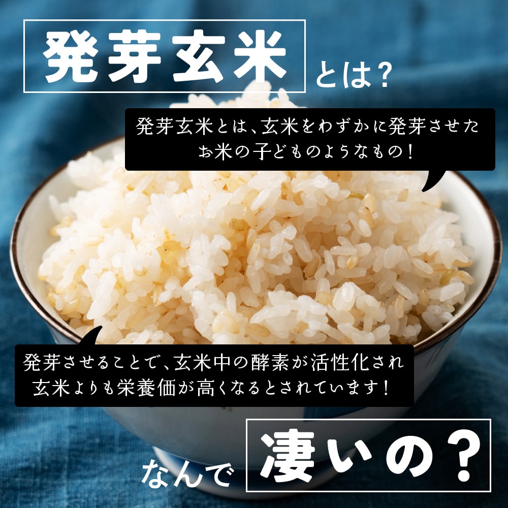 雑穀 雑穀米 国産 発芽玄米 27kg(450g×60袋)