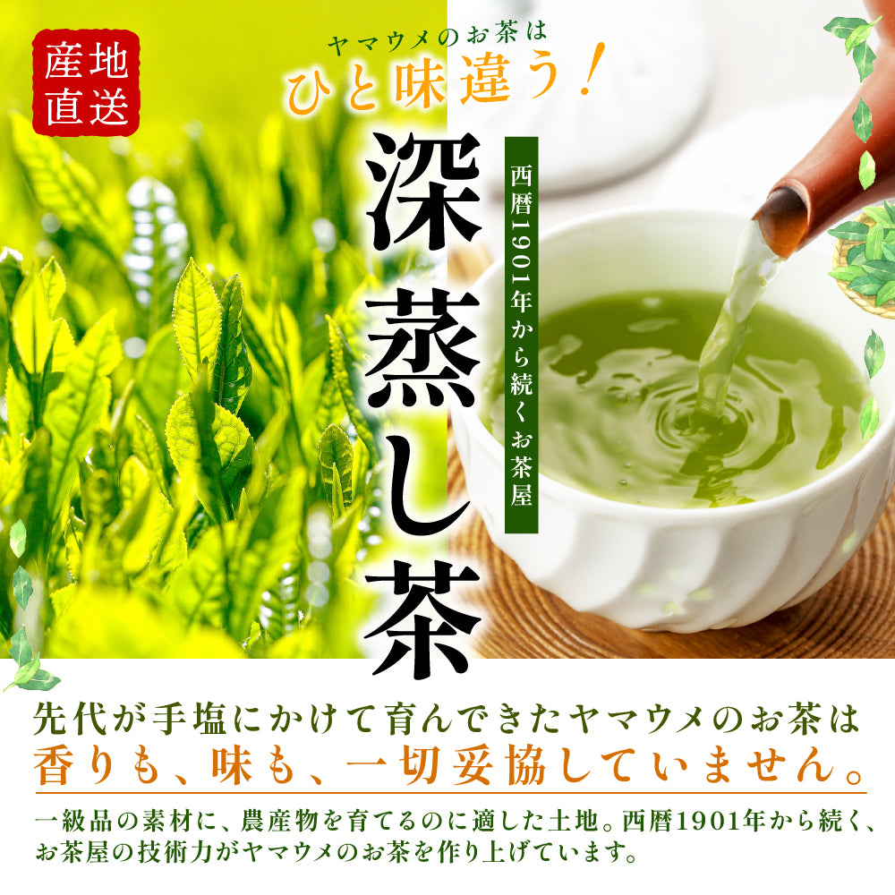 アウトレット 大特価 深蒸し茶 濃くてまろやか 【内容量が選べる80g～400g】 国産 茶葉 お茶 緑茶 静岡茶 カテキン 濃い味 渋み控えめ 送料無料