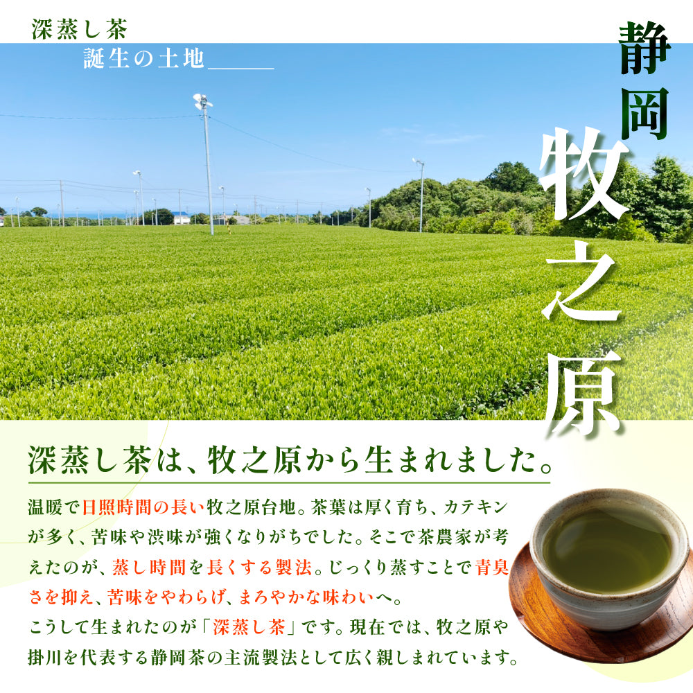 アウトレット 大特価 深蒸し茶 濃くてまろやか 【内容量が選べる80g～400g】 国産 茶葉 お茶 緑茶 静岡茶 カテキン 濃い味 渋み控えめ 送料無料