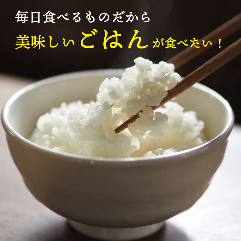 【無洗米】【セット販売】 令和7年産 新米 北海道産 ゆめぴりか10kg(5kg×2袋)+ななつぼし10kg(5kg×2袋)=計20kg 無洗米 単一原料米 送料無料 精米工場からの直送品