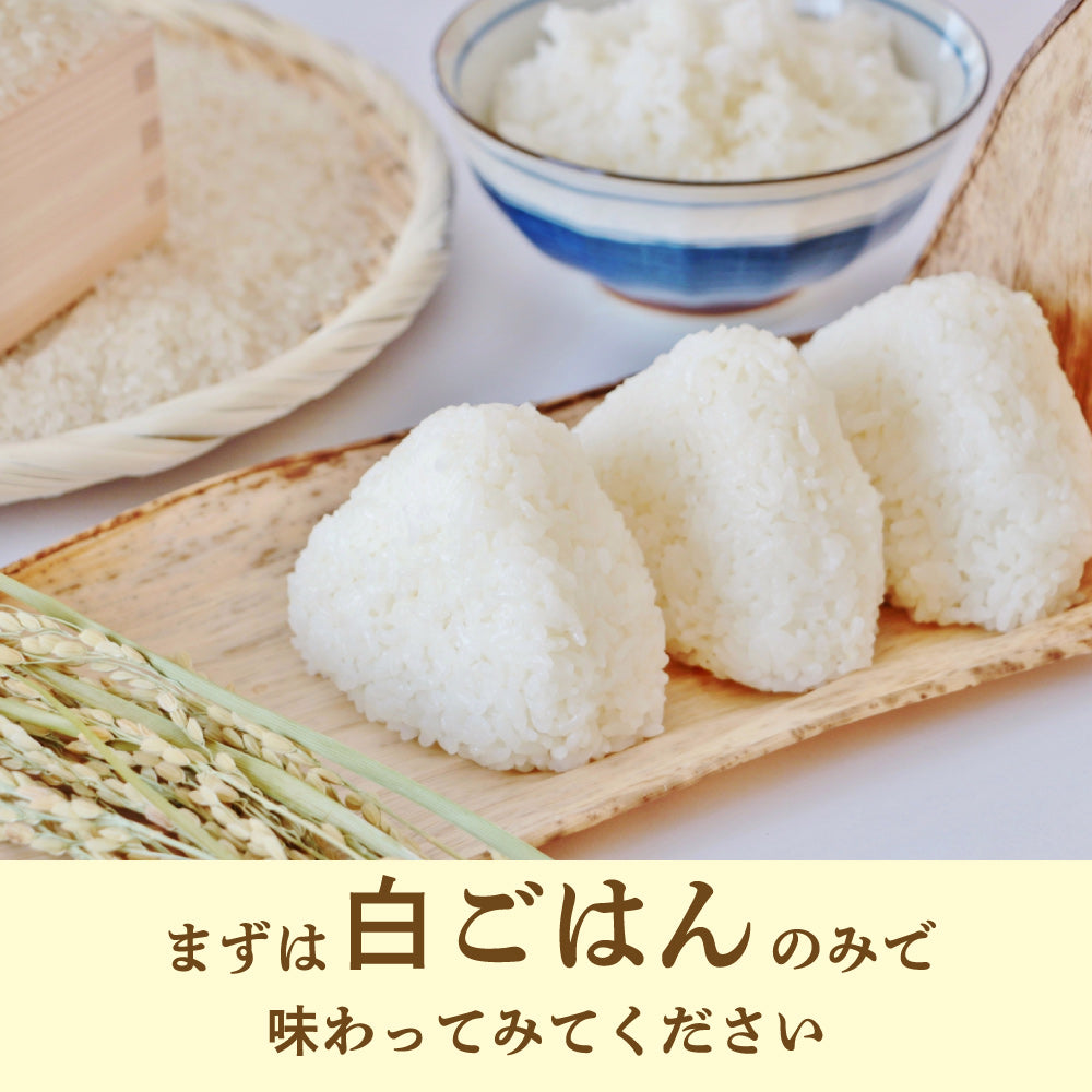【無洗米】【セット販売】 令和7年産 新米 北海道産 ゆめぴりか10kg(5kg×2袋)+ななつぼし10kg(5kg×2袋)=計20kg 無洗米 単一原料米 送料無料 精米工場からの直送品