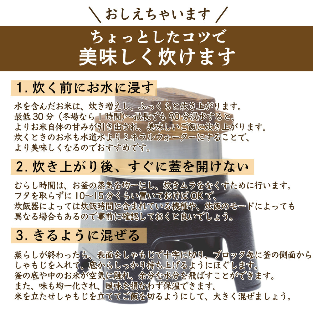 【無洗米】【セット販売】 令和7年産 新米 北海道産 ゆめぴりか10kg(5kg×2袋)+ななつぼし10kg(5kg×2袋)=計20kg 無洗米 単一原料米 送料無料 精米工場からの直送品
