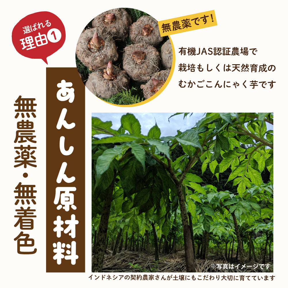 【公式サイトが最安値】雑穀 雑穀米 糖質制限 こんにゃく米(乾燥) 10kg(500g×20袋)