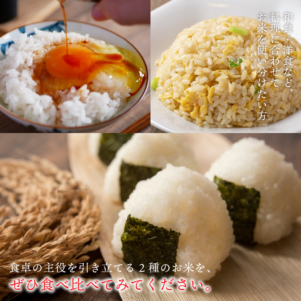 【白米】 令和6年産 新潟県佐渡島 コシヒカリ 5kg + 秋田県産 あきたこまち 5kg =計10kg 白米 精米 精白米 送料無料 精米工場からの直送品
