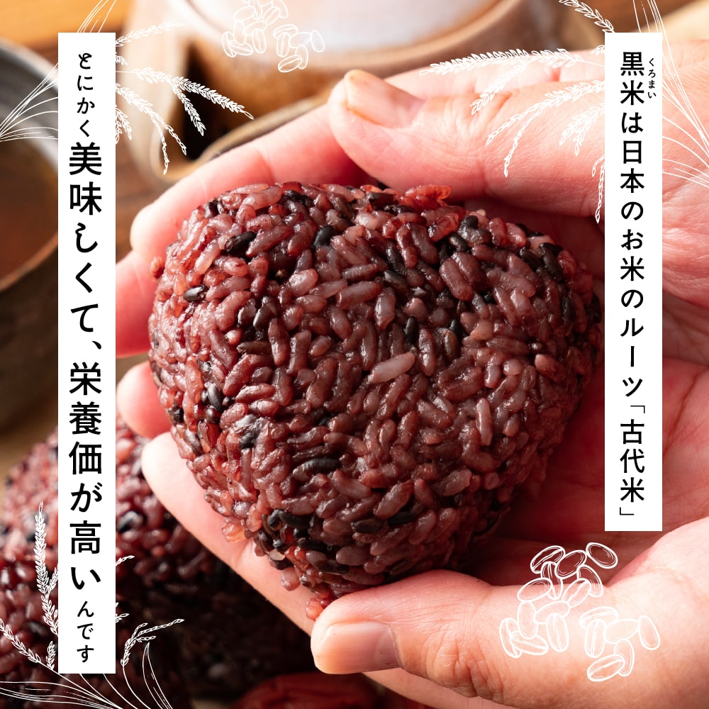 【公式サイトが最安値】雑穀 雑穀米 国産 黒米 4.5kg(450g×10袋)
