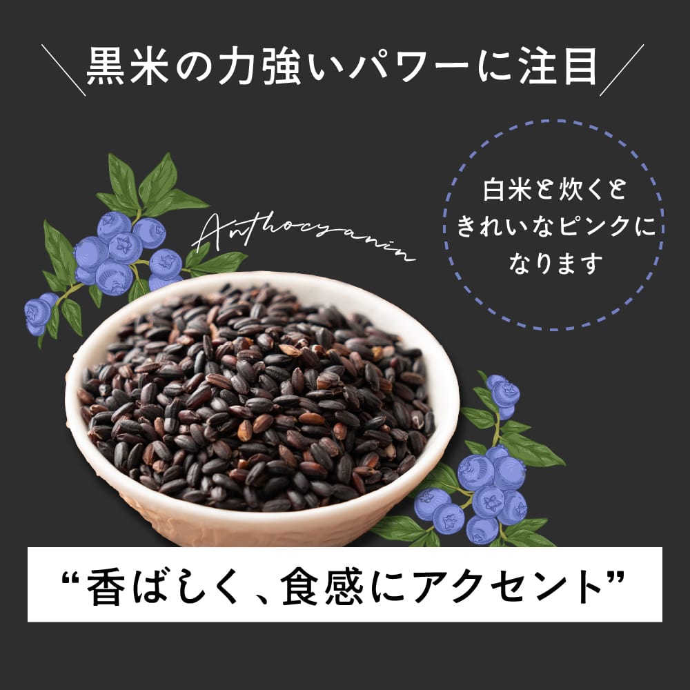 【公式サイトが最安値】雑穀 雑穀米 国産 黒米 400g