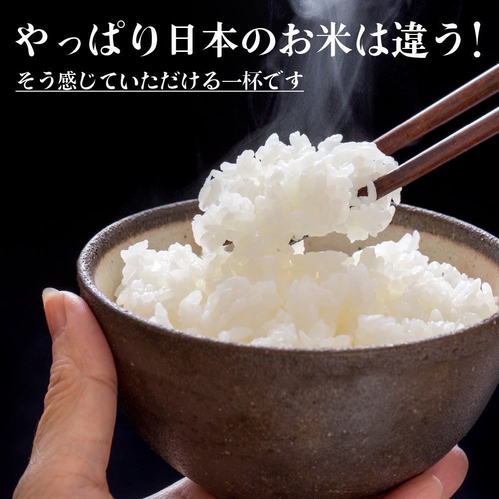 【白米】 三重県産 コシヒカリ 30kg(5kg×6袋) こしひかり 令和7年産 単一原料米 白米 精米 精白米 送料無料 精米工場からの直送品