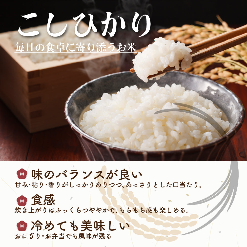 【白米】 三重県産 コシヒカリ 30kg(5kg×6袋) こしひかり 令和7年産 単一原料米 白米 精米 精白米 送料無料 精米工場からの直送品