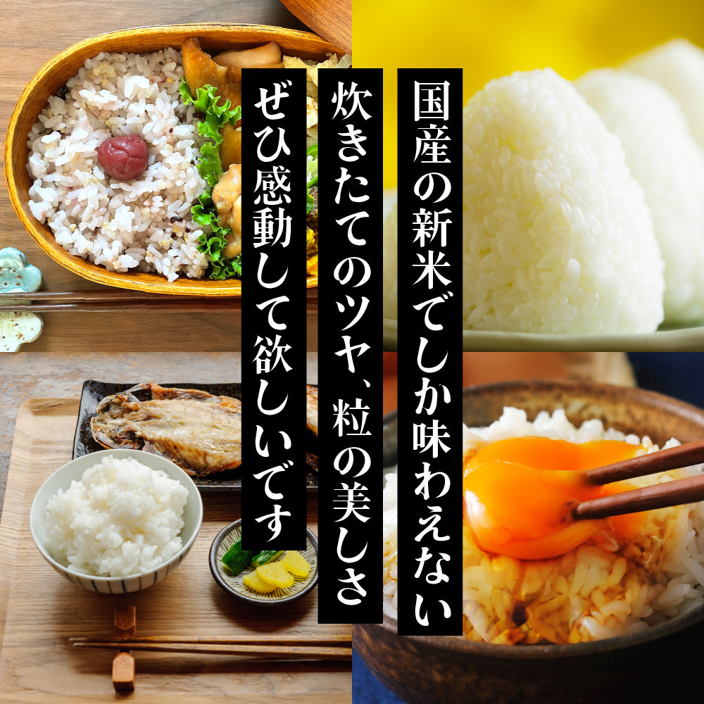 【白米】 三重県産 コシヒカリ 30kg(5kg×6袋) こしひかり 令和7年産 単一原料米 白米 精米 精白米 送料無料 精米工場からの直送品