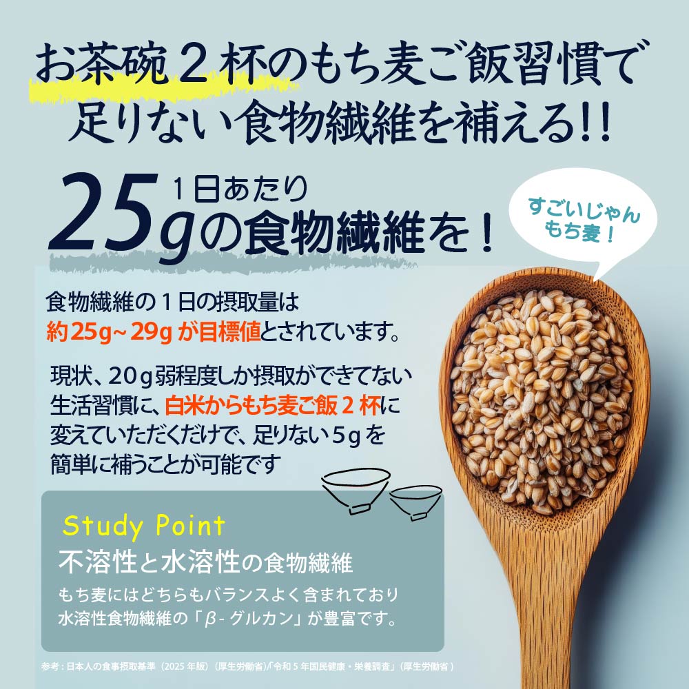 自然栽培　ダイシモチ麦　8kg 公式サイトが最安値／雑穀米本舗 国産 もち麦 8kg(400g×20袋