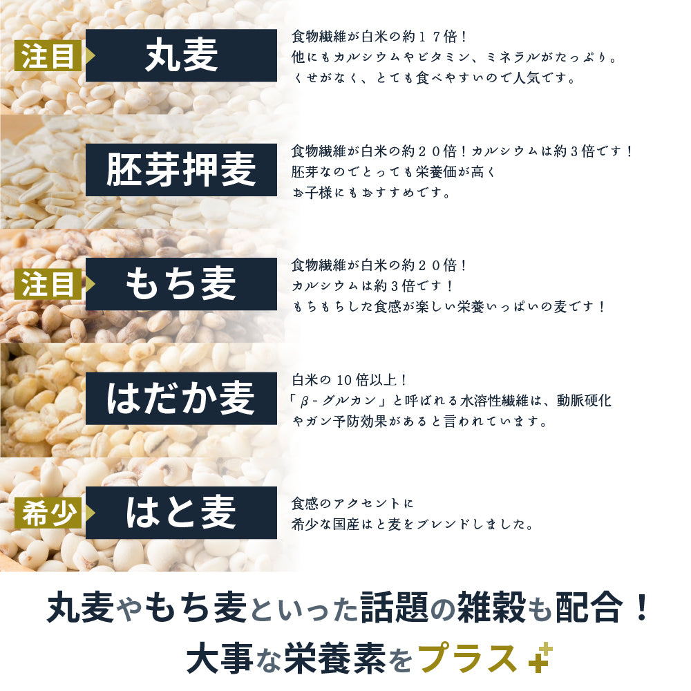 【公式サイトが最安値】雑穀 雑穀米 国産 麦５種ブレンド 2.7kg(450g×6袋) [丸麦/押麦/はだか麦/もち麦/はと麦] 無添加 無着色 ファミリーサイズ 送料無料 ダイエット食品 置き換えダイエット 混ぜるだけ