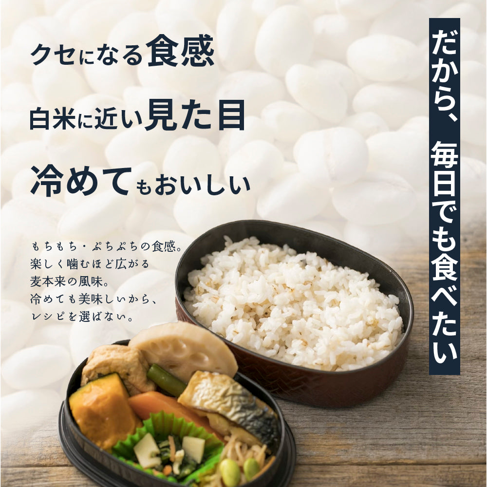 【公式サイトが最安値】雑穀 雑穀米 国産 麦５種ブレンド 27kg(450g×60袋) [丸麦/押麦/はだか麦/もち麦/はと麦] 無添加 無着色 業務用サイズ 送料無料 ダイエット食品 置き換えダイエット 混ぜるだけ