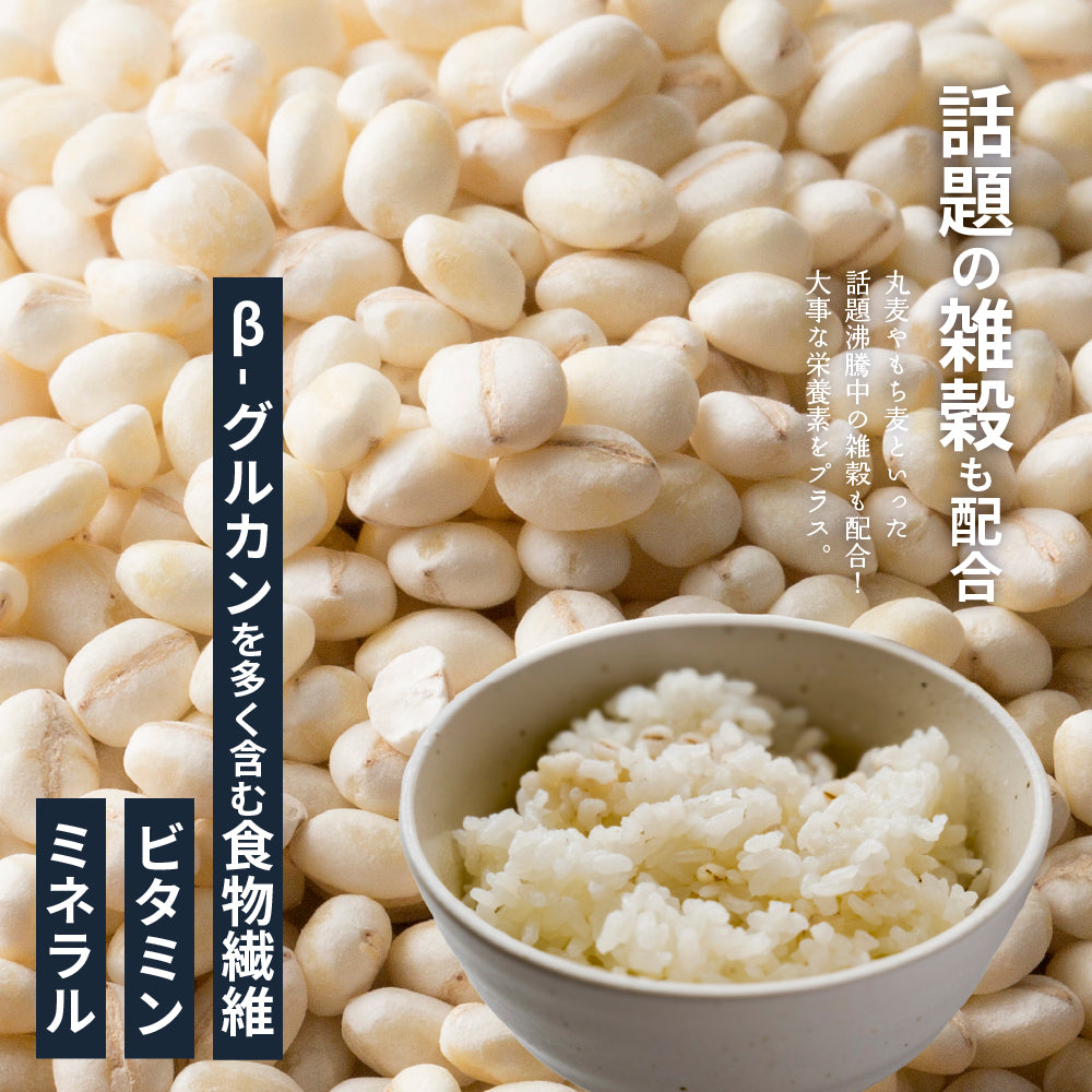 むぎ　2本 公式サイトが最安値／雑穀米本舗 麦5種ブレンド 2.4kg(400g×6袋