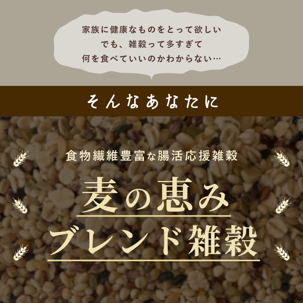 雑穀 雑穀米 国産 麦の恵み雑穀米 2.4kg(800g×3袋) 無添加 無着色 安心の国産 国内産原料100% ダイエット 置き換え