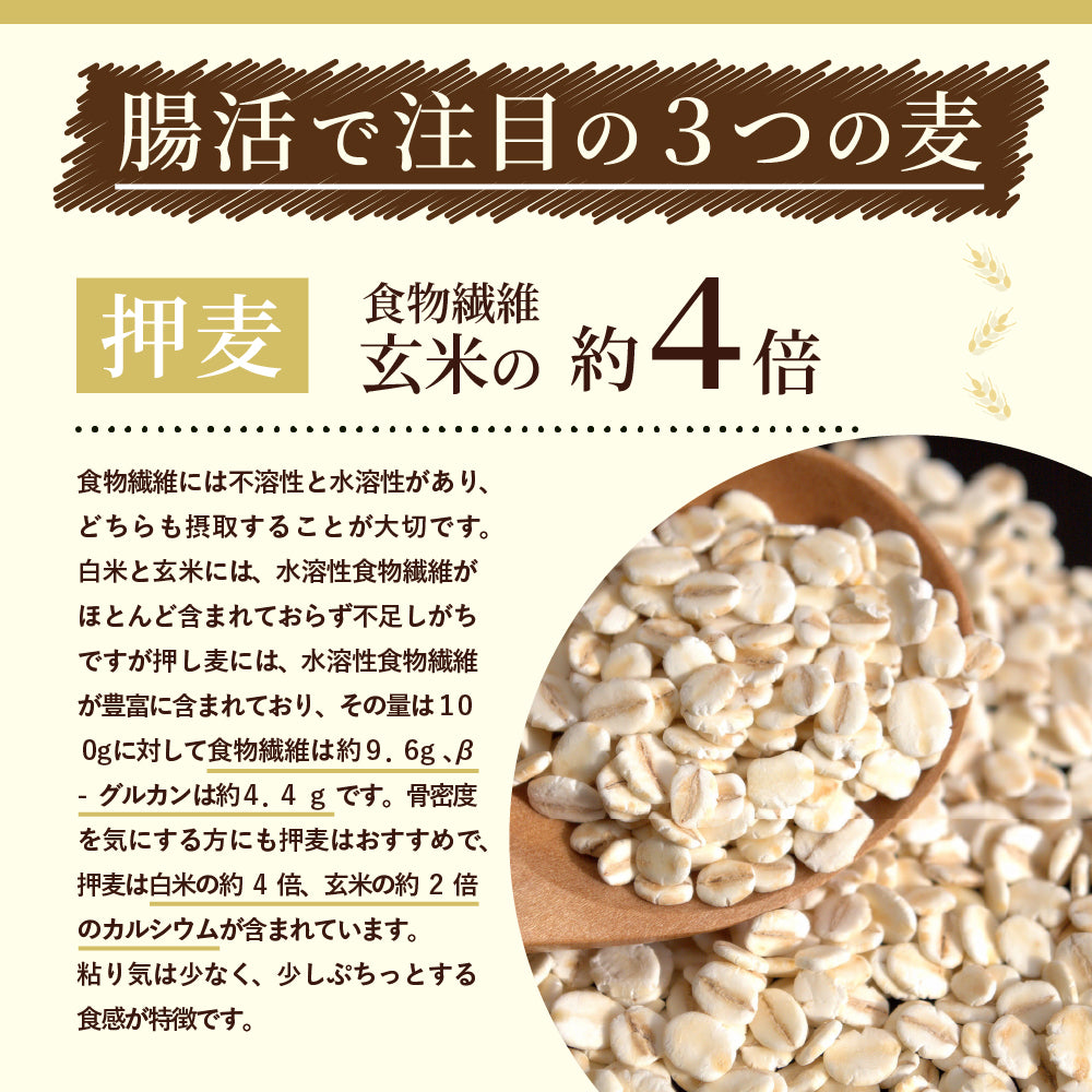 公式サイトが最安値／雑穀米本舗 麦の恵み24穀米ブレンド 800g(800g
