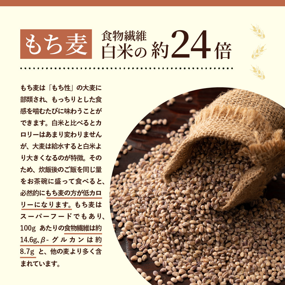 雑穀 雑穀米 国産 麦の恵み雑穀米 2.4kg(800g×3袋) 無添加 無着色 安心の国産 国内産原料100% ダイエット 置き換え