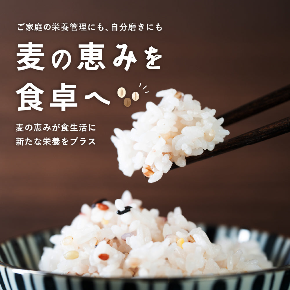 雑穀 雑穀米 国産 麦の恵み雑穀米 2.4kg(800g×3袋) 無添加 無着色 安心の国産 国内産原料100% ダイエット 置き換え