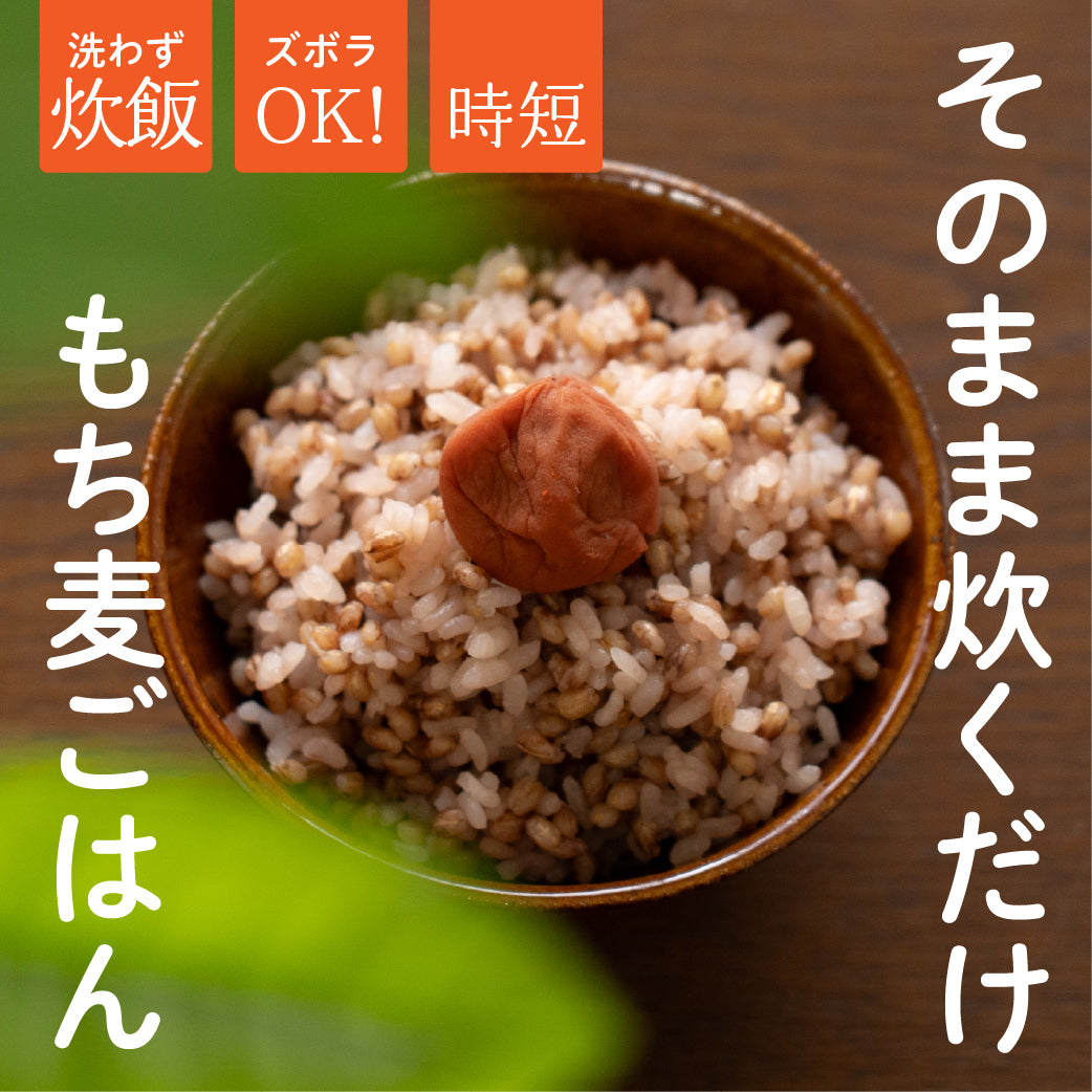 【無洗米入り雑穀】 雑穀 雑穀米 国産 ダイシモチ もち麦ごはん 4kg(2kg×2袋) 送料無料 水溶性食物繊維 βグルカン豊富 研がずに炊ける 初めての方おすすめ 当店のイチオシ 健康 美容 栄養