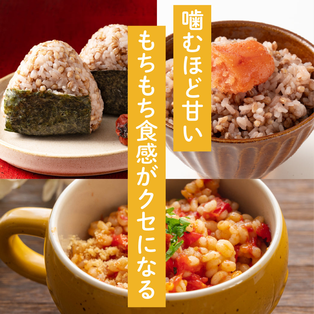 【無洗米入り雑穀】 雑穀 雑穀米 国産 ダイシモチ もち麦ごはん 4kg(2kg×2袋) 送料無料 水溶性食物繊維 βグルカン豊富 研がずに炊ける 初めての方おすすめ 当店のイチオシ 健康 美容 栄養