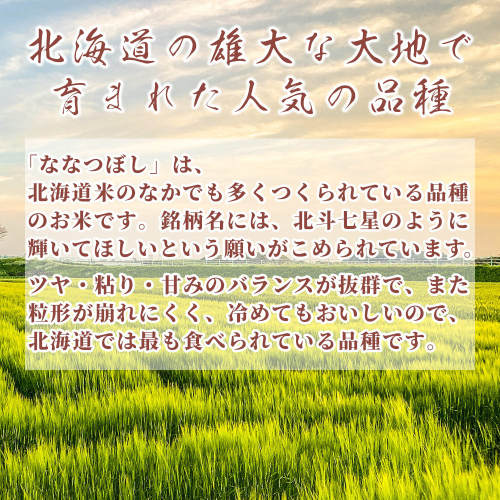 【アウトレット商品】【白米】北海道産ななつぼし5kg (精米年月日2024年8月中旬)