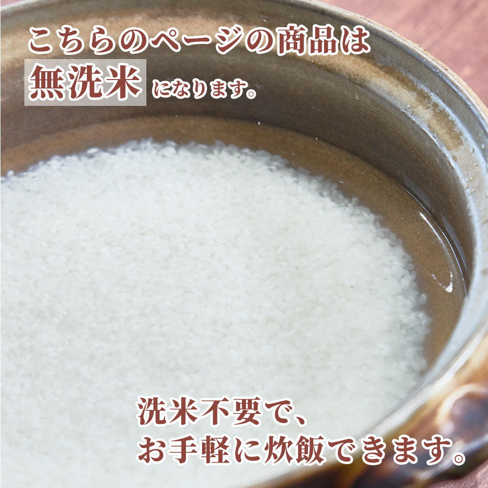 【無洗米】 北海道産 ゆめぴりか 30kg(5kg×6袋) 北海道産 令和7年産 新米 単一原料米 送料無料 精米工場からの直送品