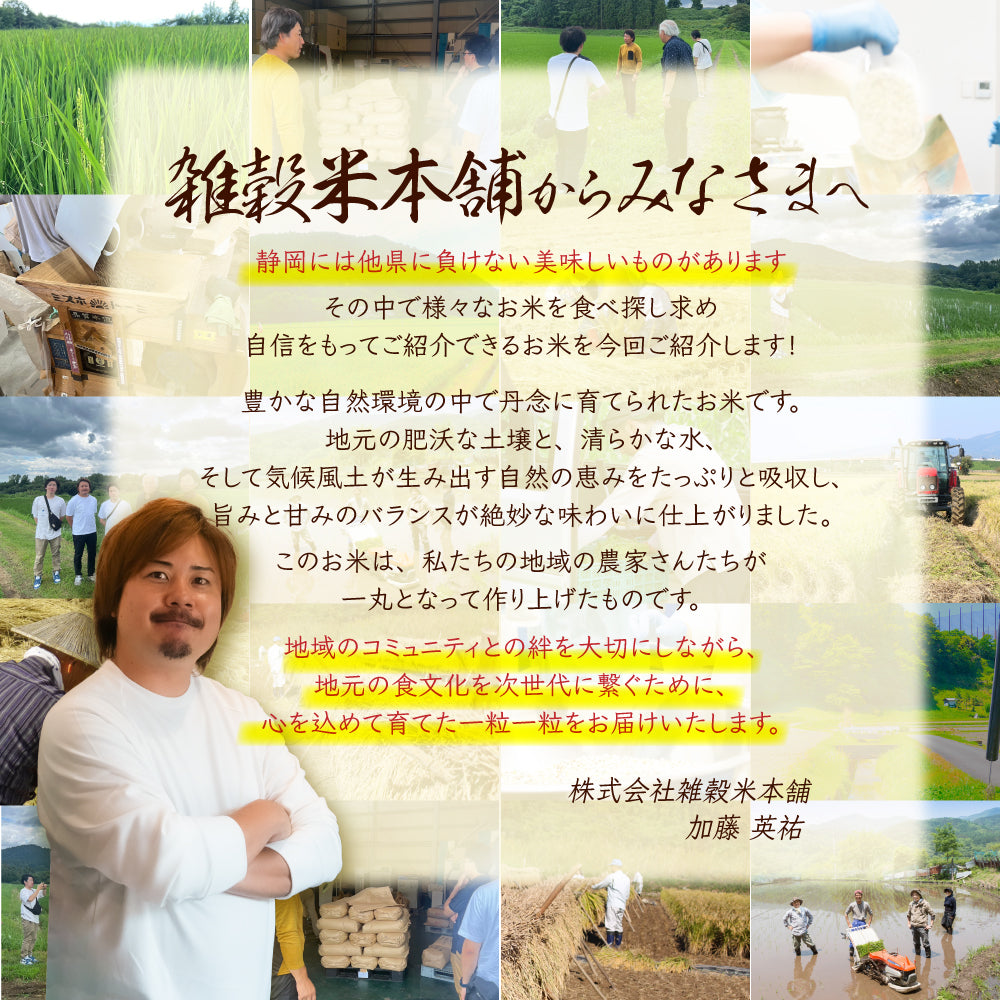 【白米】静岡県 上垂木産 こしひかり 30kg(5kg×6袋) 精白米 国産 令和6年産 静岡県産 コシヒカリ 国産コシヒカリ100％ 送料無料