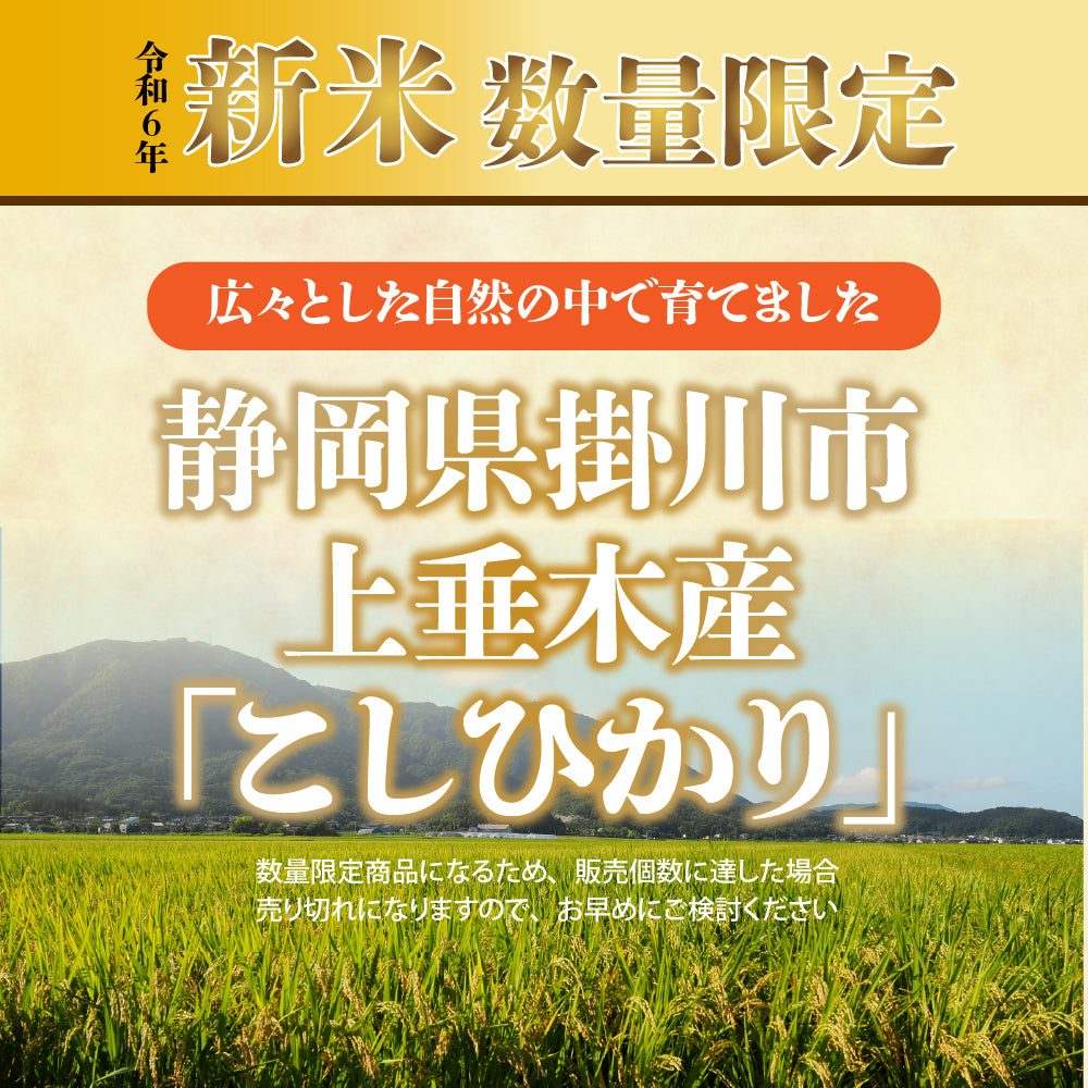 【TikTok専用カート しゃもじ付き】【白米】39穀米ブレンド500gおまけ付き 静岡県 上垂木産 こしひかり 5kg 精白米 国産 令和6年産 静岡県産 コシヒカリ 国産コシヒカリ100％ 送料無料