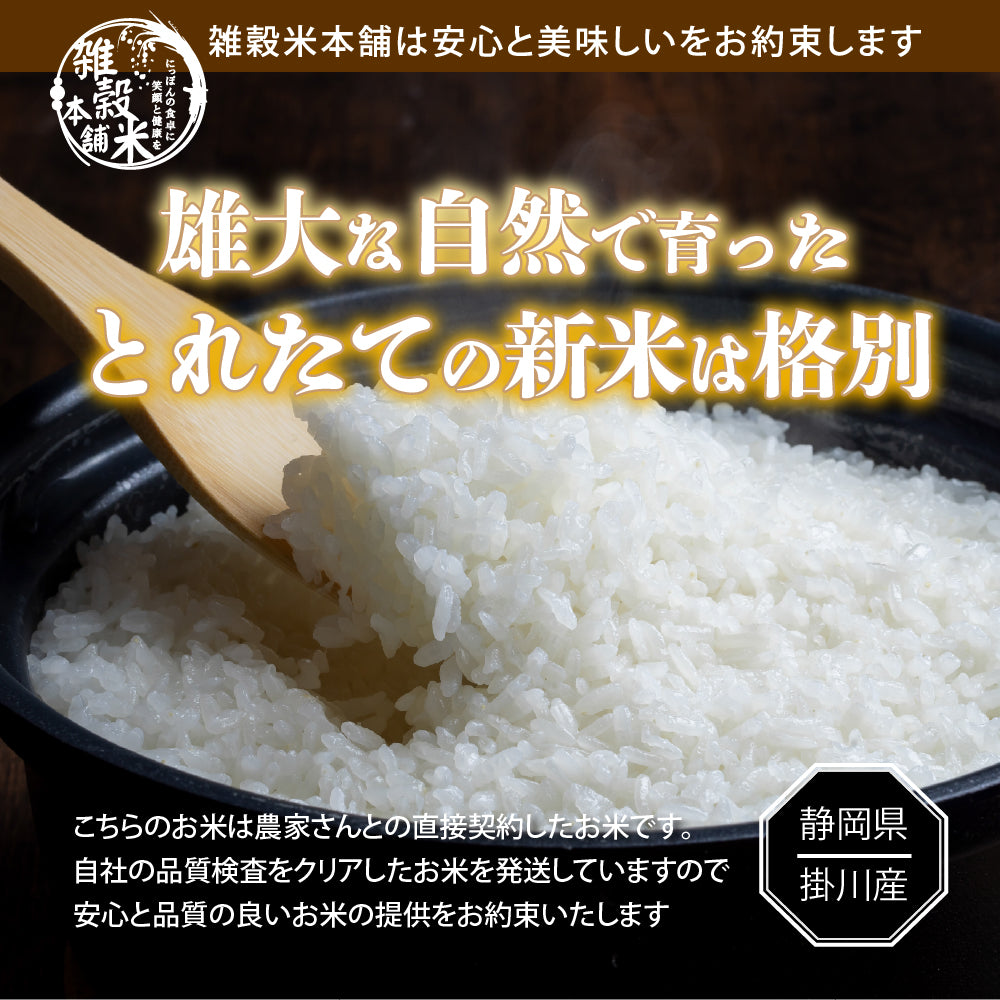 【白米】静岡県 上垂木産 こしひかり 30kg(5kg×6袋) 精白米 国産 令和6年産 静岡県産 コシヒカリ 国産コシヒカリ100％ 送料無料