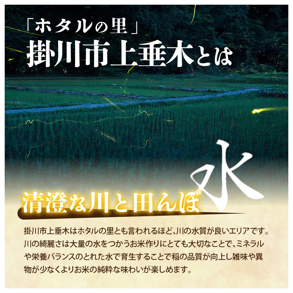 【白米】静岡県 上垂木産 こしひかり 20kg(5kg×4袋) 精白米 国産 令和6年産 静岡県産 コシヒカリ 国産コシヒカリ100％ 送料無料