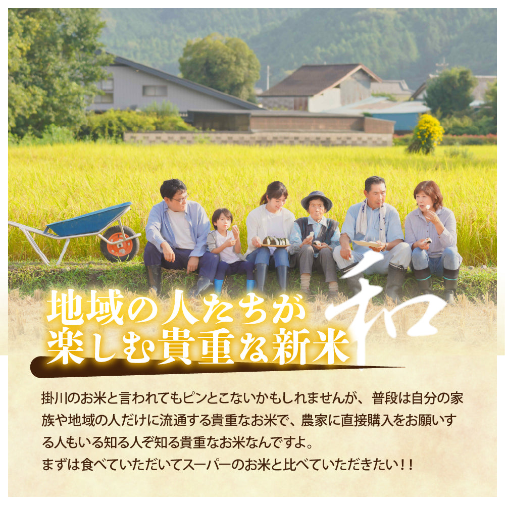 【白米】静岡県 上垂木産 こしひかり 20kg(5kg×4袋) 精白米 国産 令和6年産 静岡県産 コシヒカリ 国産コシヒカリ100％ 送料無料