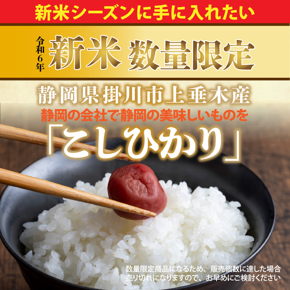 【白米】静岡県 上垂木産 こしひかり 20kg(5kg×4袋) 精白米 国産 令和6年産 静岡県産 コシヒカリ 国産コシヒカリ100％ 送料無料