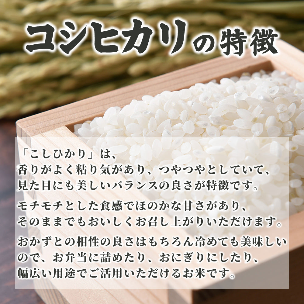 【白米】匠の一粒 コシヒカリ 20kg(10kg×2袋) 精白米 国産 複数原料米 ブレンド米 国産コシヒカリ100％ 送料無料 精米工場からの直送品