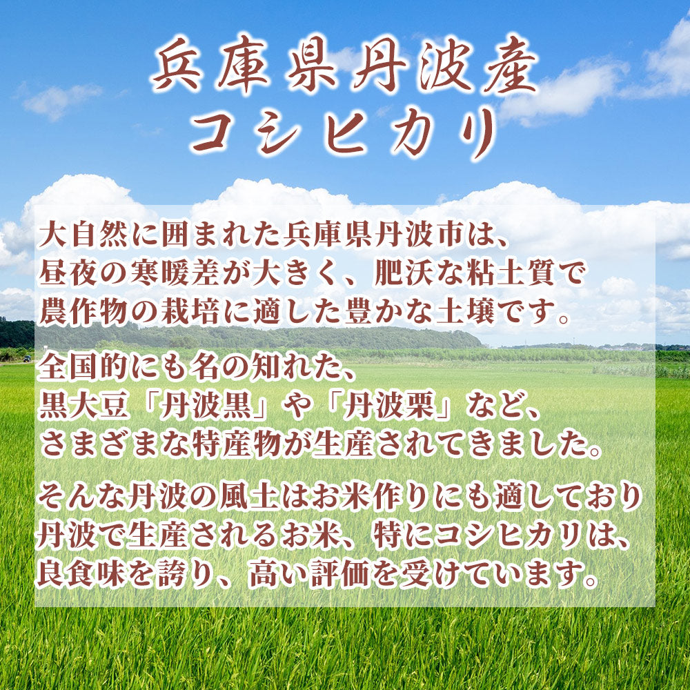 【白米】 令和7年産 特別栽培米 丹波産 コシヒカリ 30kg(5kg×6袋) 兵庫県産 こしひかり 単一原料米 送料無料 精米工場からの直送品