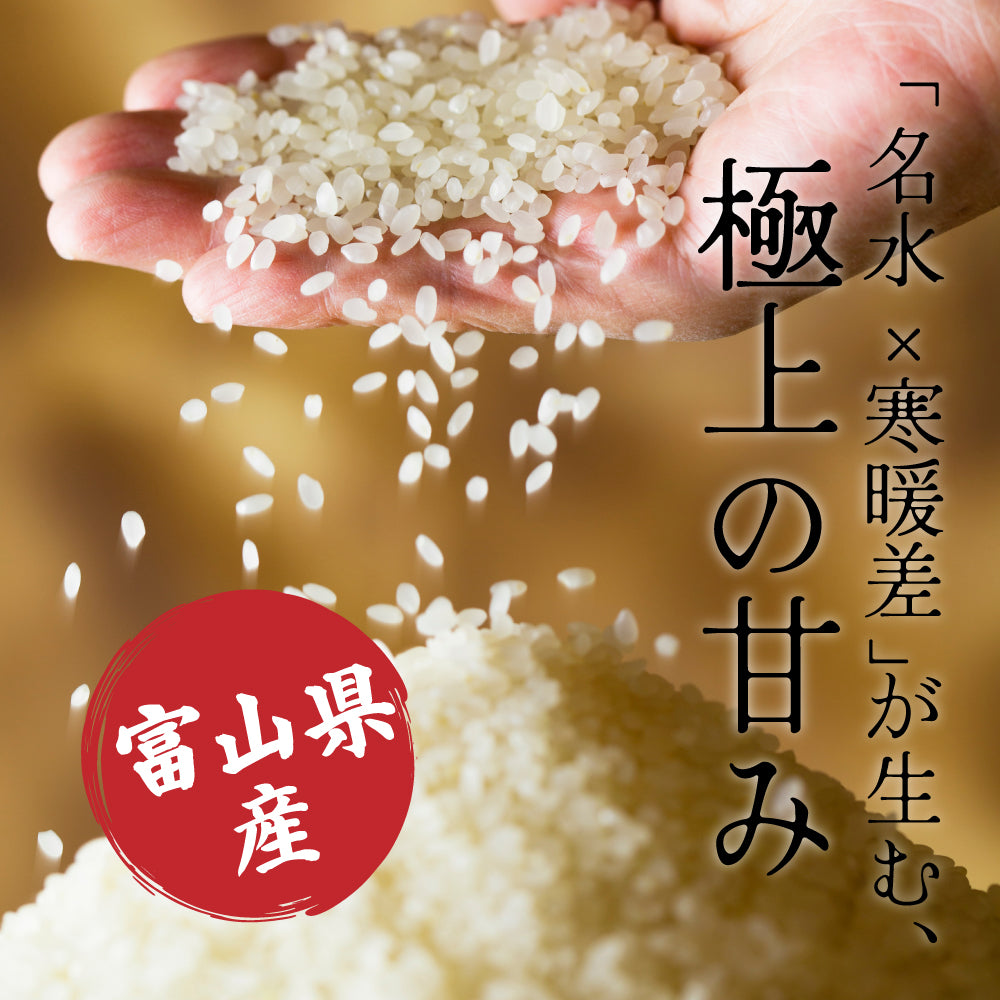 【白米】 令和7年産 富山県産 コシヒカリ 10kg(5kg×2袋) こしひかり 単一原料米 白米 精米 精白米 送料無料 精米工場からの直送品
