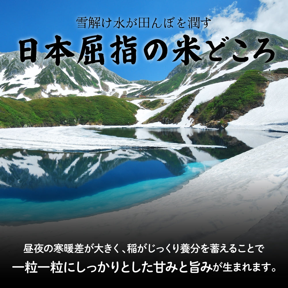 【白米】 令和7年産 富山県産 コシヒカリ 10kg(5kg×2袋) こしひかり 単一原料米 白米 精米 精白米 送料無料 精米工場からの直送品