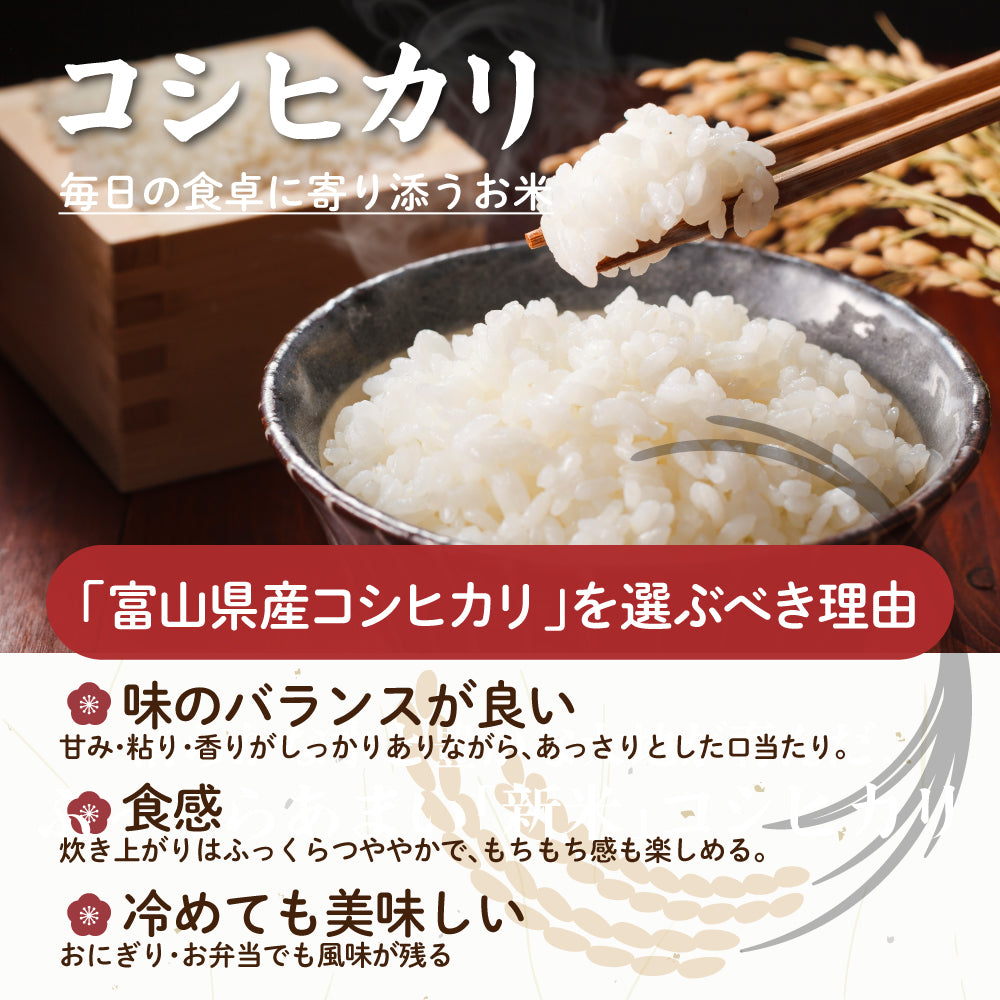 【白米】 令和7年産 富山県産 コシヒカリ 10kg(5kg×2袋) こしひかり 単一原料米 白米 精米 精白米 送料無料 精米工場からの直送品
