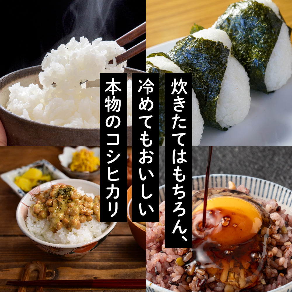 【白米】 令和7年産 富山県産 コシヒカリ 10kg(5kg×2袋) こしひかり 単一原料米 白米 精米 精白米 送料無料 精米工場からの直送品