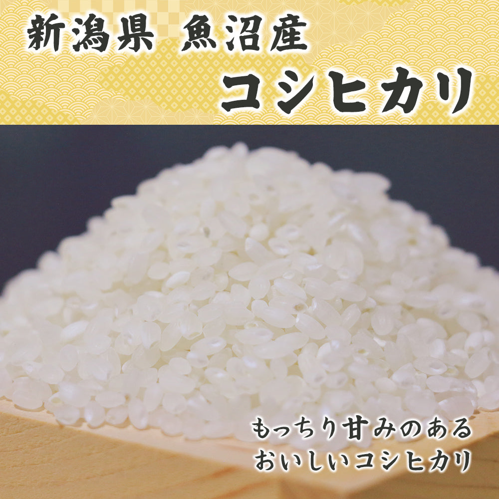 【アウトレット商品】【白米】令和6年産 魚沼産 コシヒカリ 10kg(5kg×2袋) 国産 新潟県産 こしひかり お米 白米 米  (精米時期2024年9月中旬)