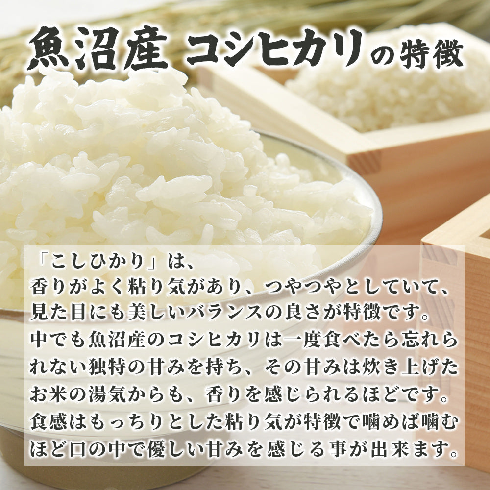 白米】令和7年産 魚沼産 コシヒカリ 30kg(5kg×6袋) 単一原料米 お米