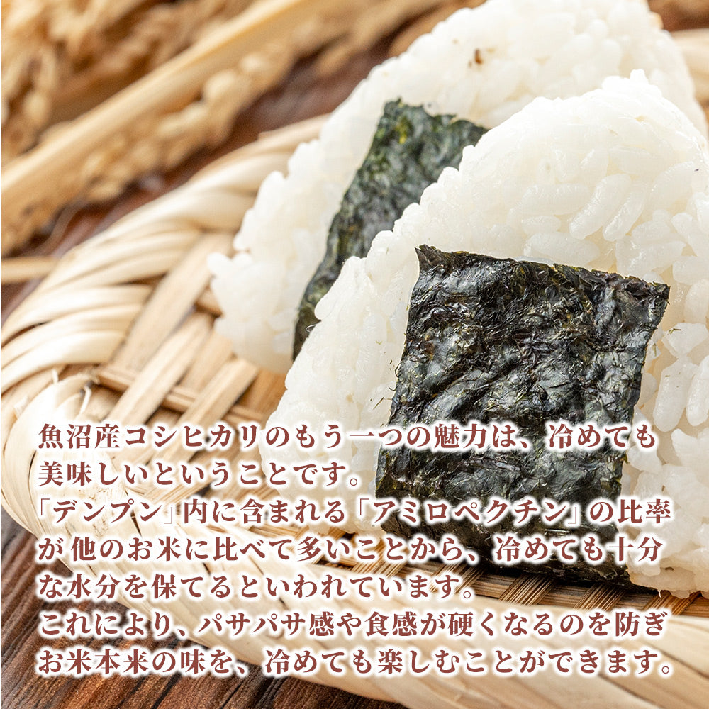 7年魚沼産コシヒカリ白米30kg 白米】令和7年産 魚沼産 コシヒカリ 30kg(5kg×6袋) 単一原料米 お米