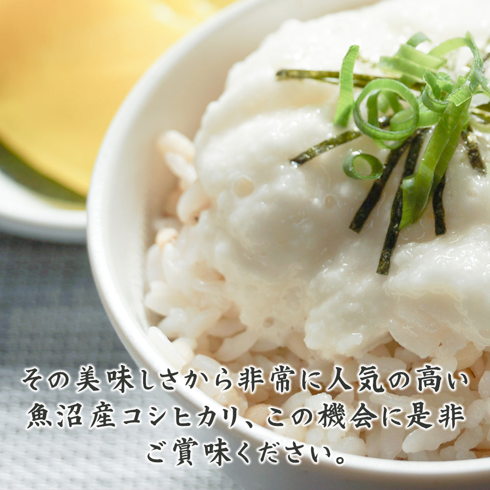 白米】令和7年産 魚沼産 コシヒカリ 30kg(5kg×6袋) 単一原料米 お米