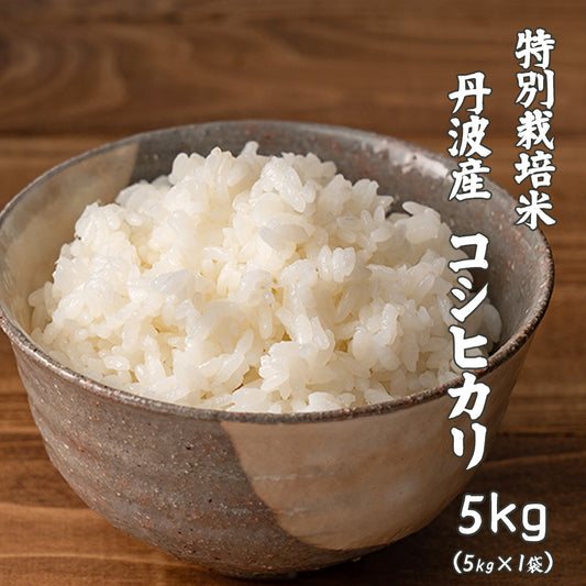 【白米】 令和7年産 特別栽培米 丹波産 コシヒカリ 5kg こしひかり 単一原料米 お米 精米工場からの直送品 雑穀米本舗