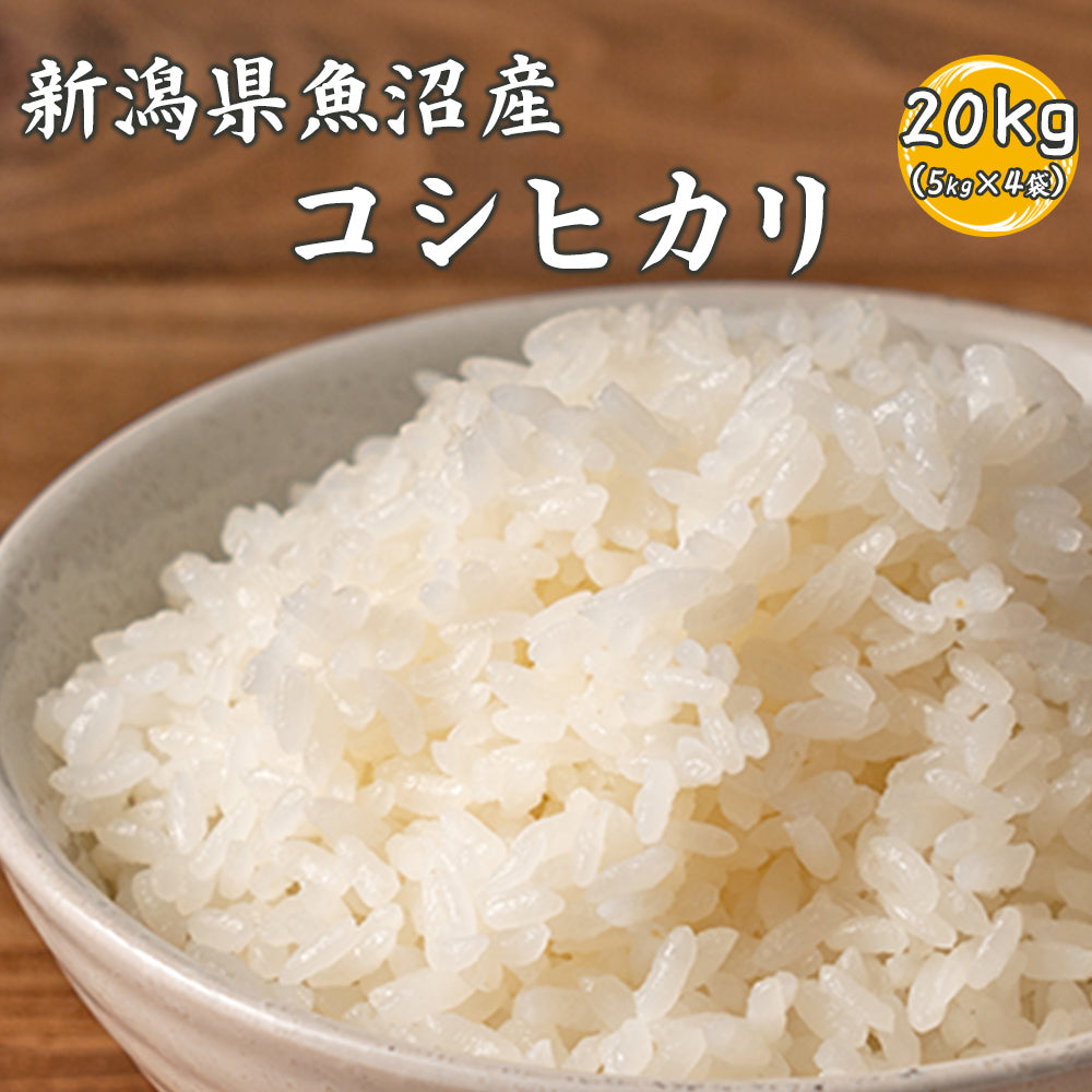 【白米】令和6年産 魚沼産 コシヒカリ 20kg(5kg×4袋) 国産 新潟県産 こしひかり お米 白米 米  精白米 国産コシヒカリ100％ 送料無料 精米工場からの直送品